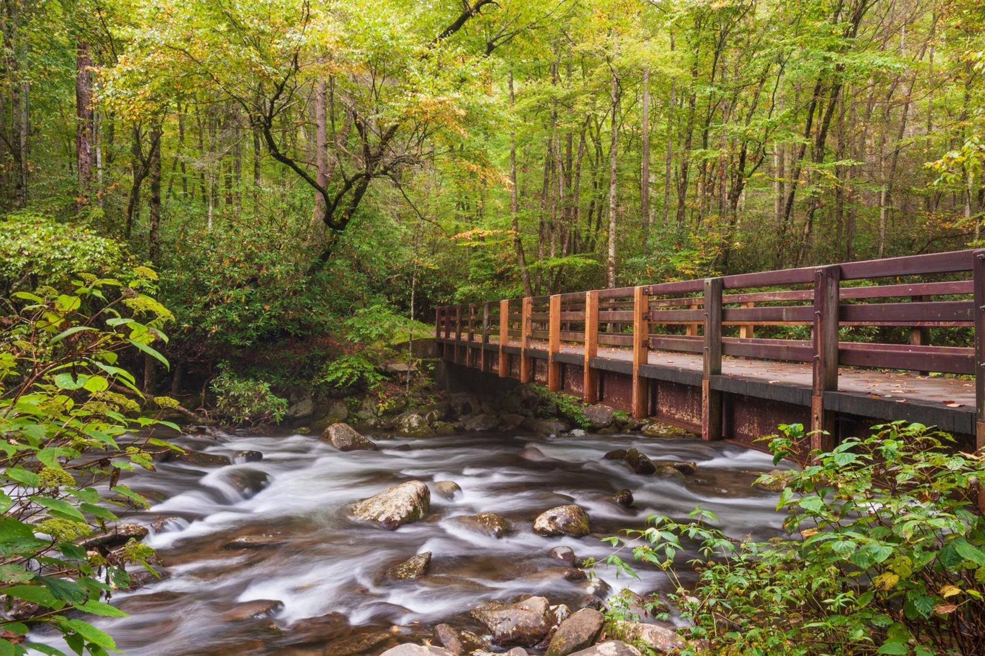 Majestic View Lodge, Amazing Views, Hot Tub, 1089 Free Tickets Each Paid Day, Dollywood And More Gatlinburg Kültér fotó